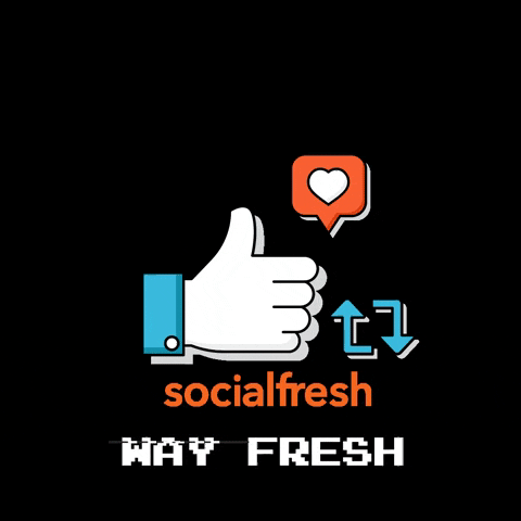 Social Media GIF by Social Fresh