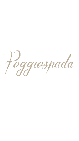 poggiospada_swimwear Sticker