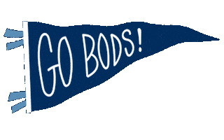 Flag Pennant Sticker by Washburn University