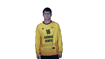 Chenois Sticker by CS Chênois Genève Handball