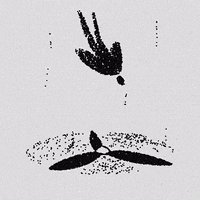 200.gif?cid=fc005b081bfa48c1c5b099ac48f57b013b51da24282ed9d1&rid=200.gif&ct=g