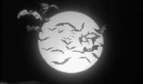 Black And White Moon GIF - Find & Share on GIPHY