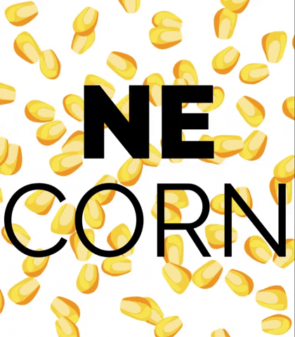 NebraskaCornBoard agriculture farmer corn cornhusker GIF