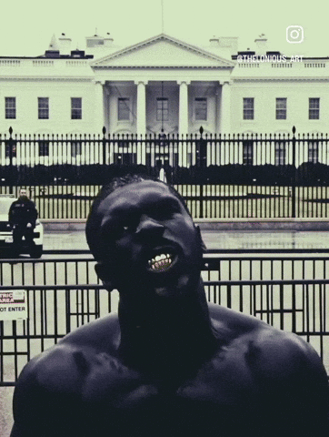 White House Art GIF