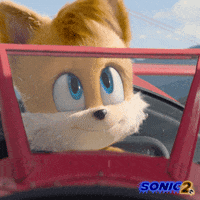 Paramount Pictures Sega GIF by Sonic The Hedgehog