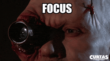 Cinema Focus GIF by Curtas Festival do Imaxinario