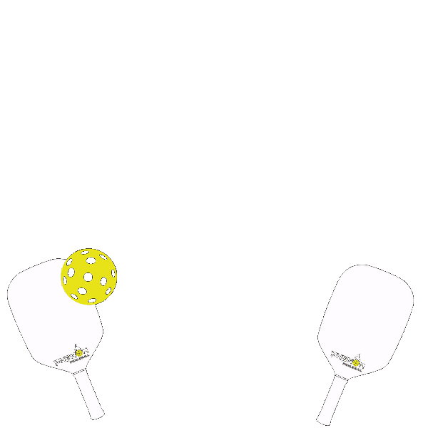 funny pickleball gif, father day gifts from daughter in law