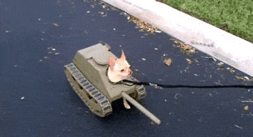 200_s.gif