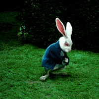 Alice Rabbit Gifs Get The Best Gif On Giphy