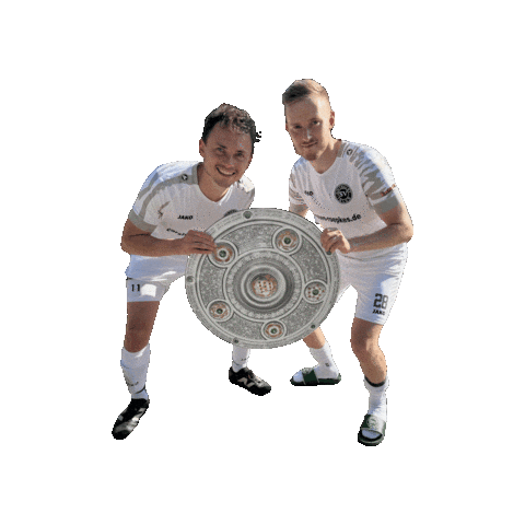 Svi Sticker by sveintrachtihlow