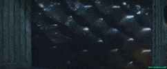 Manda GIF