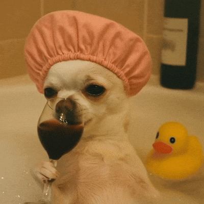 Dog Puppy GIF
