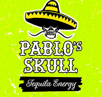 pablosskull party life mexico relax GIF