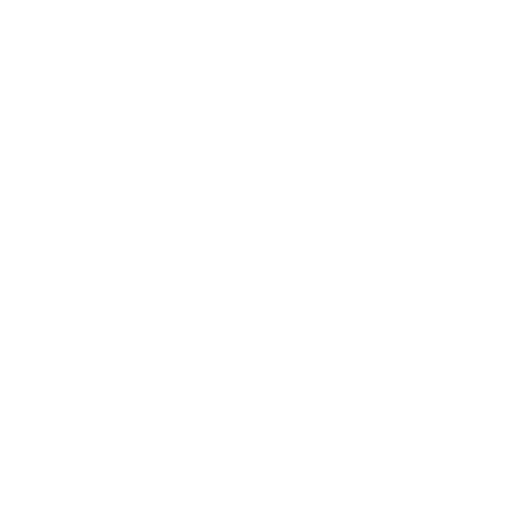 VIJZ Sticker