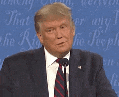 Political gif. Donald Trump stands in front of a microphone at a presidential date. He chuckles a little with a smug smirk on his face and then licks his lips. He lifts his eyebrows and nods a little in a surprised moment of agreement.