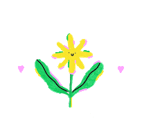 Daiashop Sticker