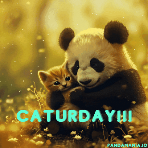 Happy Cat GIF by PandaMania