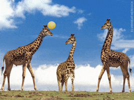 200.gif?cid=790b76115cf9cc5875396a6667cf8e83&rid=200.gif