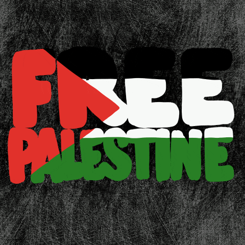 Israel Palestine GIF by yux
