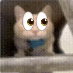 Void Cat GIF