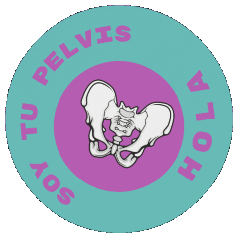 Pelvis Anatomia Sticker by Mammactive