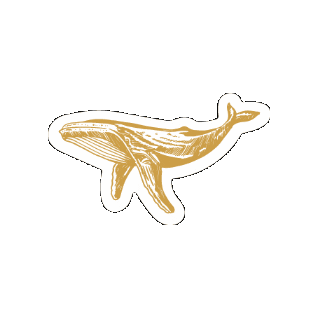 Sticker by Laura Malina Seiler