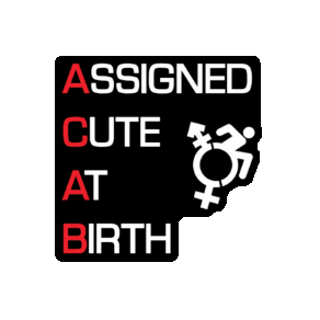 Gay Pride Sticker by Rebirth Garments