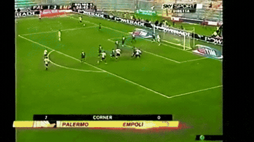 MichelePelacci makinwa di testaaaa GIF