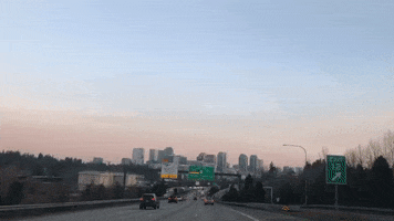 GIF by Cafe Cesura