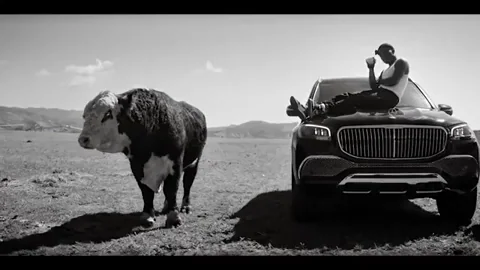 Bouncing Black And White GIF