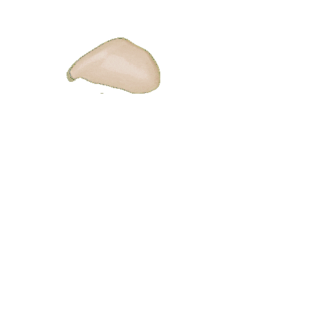 DinamicProtein Sticker