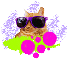 Cat Streaming Sticker by Twitch