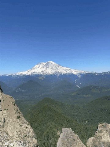 giphy.gif?cid=9b38fe91nw5k68vwr10nmfnry7