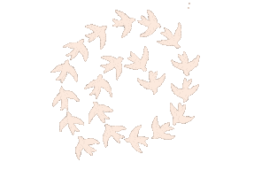 Birds Spiral Sticker