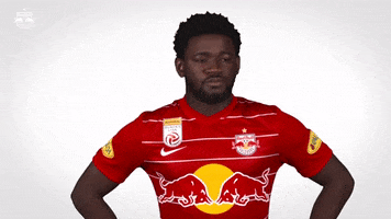 Red Bull No GIF by FC Red Bull Salzburg