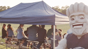 Mascot Hurricanes GIF by Georgia Southwestern State University