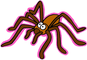 Spider Insect Sticker