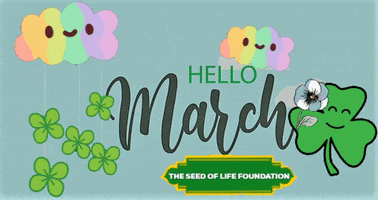 Food Hello GIF by The Seed of Life Foundation