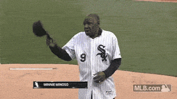 white sox chicago GIF by MLB