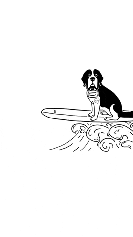 SurfariSurfShop dog ocean surf waves GIF
