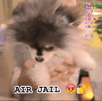 Kevinpohledits GIF