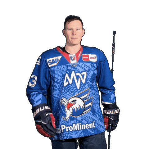 Solow Sticker by Adler Mannheim