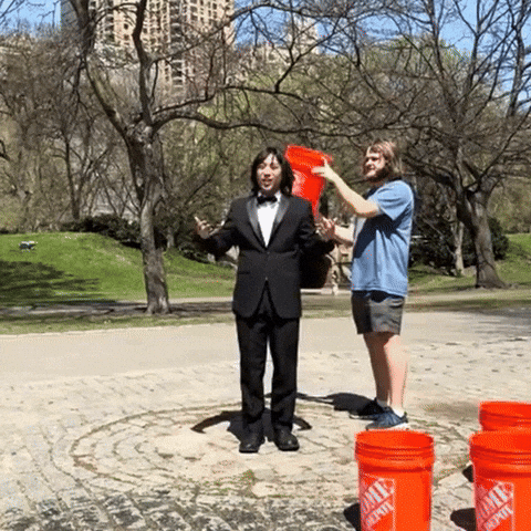 Taylor Cartago GIF