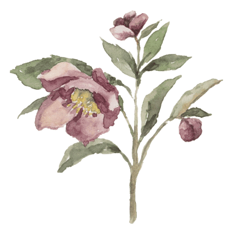 Flower Sticker by Mum's Floral & Home