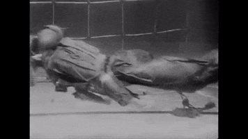 vintage just keep swimming GIF by US National Archives