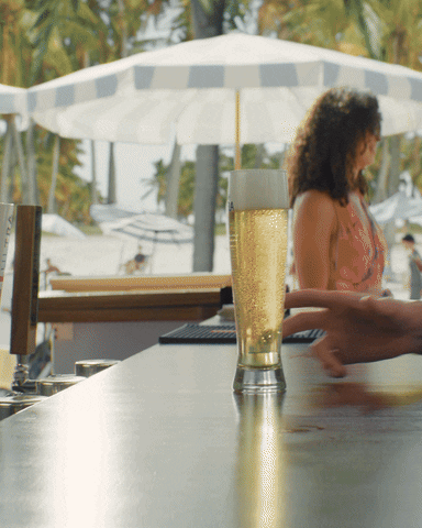 Super Bowl Cheers GIF by MichelobULTRA