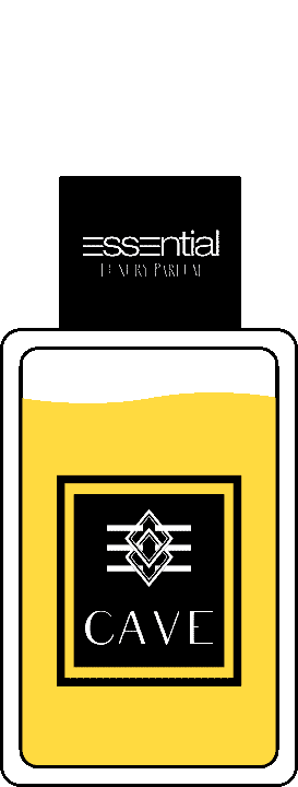 Essential Professional Make Up Sticker