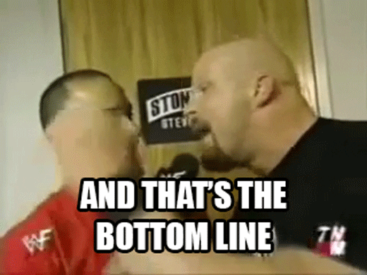 stone cold steve austin GIF - stone cold steve austin GIF