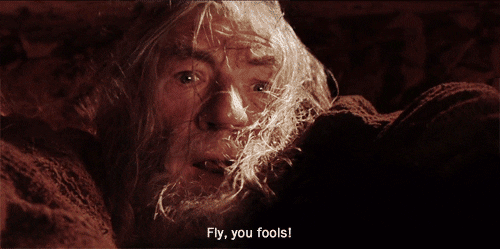 fly-you-fools-lord-of-the-rings-gif-by-maudit-find-share-on-giphy