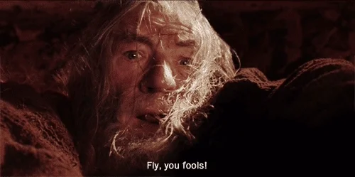 Fly You Fools Lord Of The Rings GIF by Maudit
